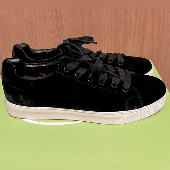 Circus Sam Edelman Caprice Velvet Sneaker - Picture 1 of 11